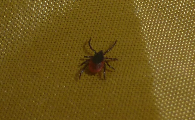 But my evening started to look a little more stressed when I found this in my tent! at 6:47pm.