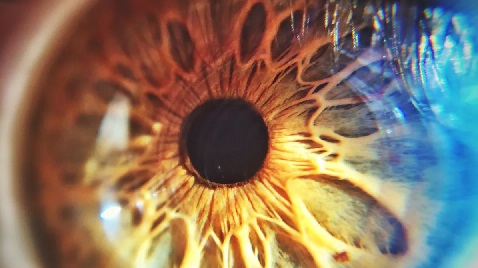 Image showing a close up of an eye.